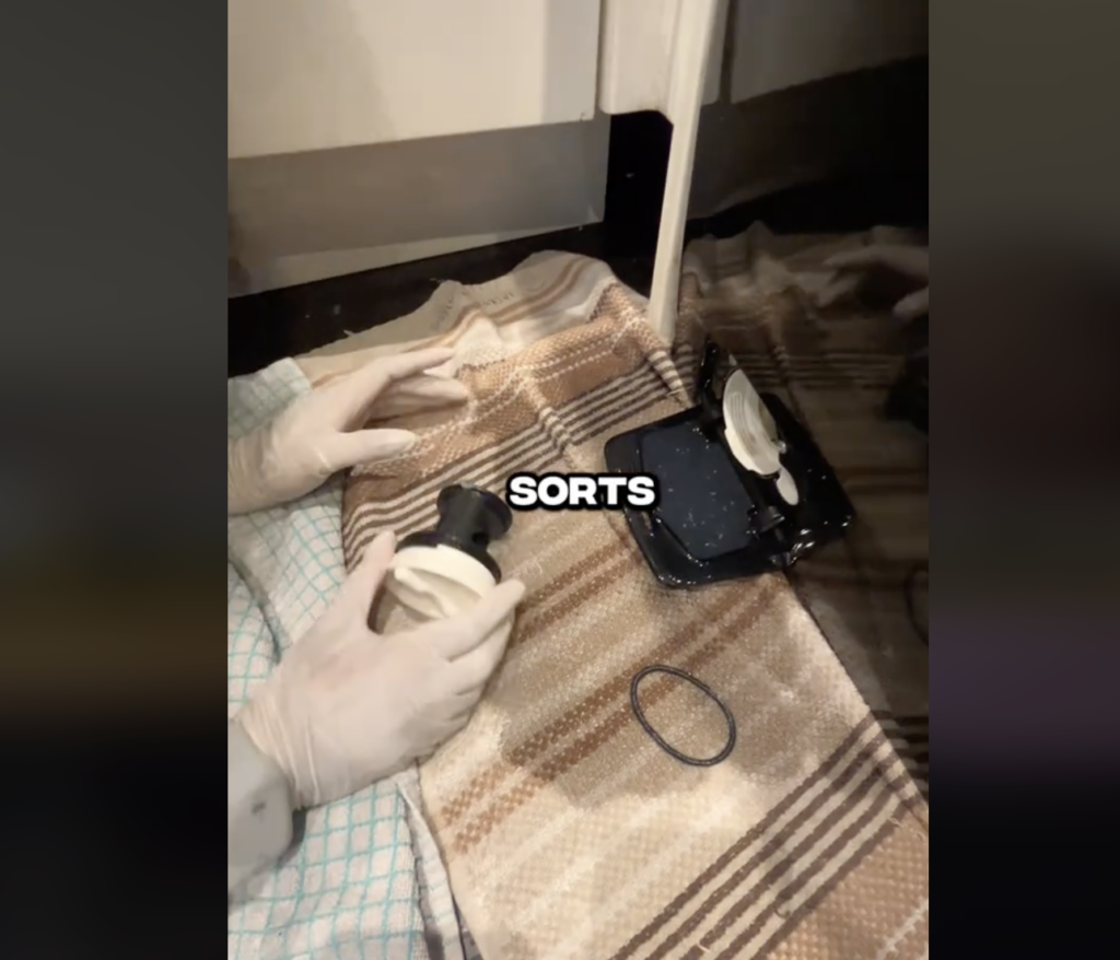 stuff like hairbands that came out of a washing machine compartment in a TikTok video